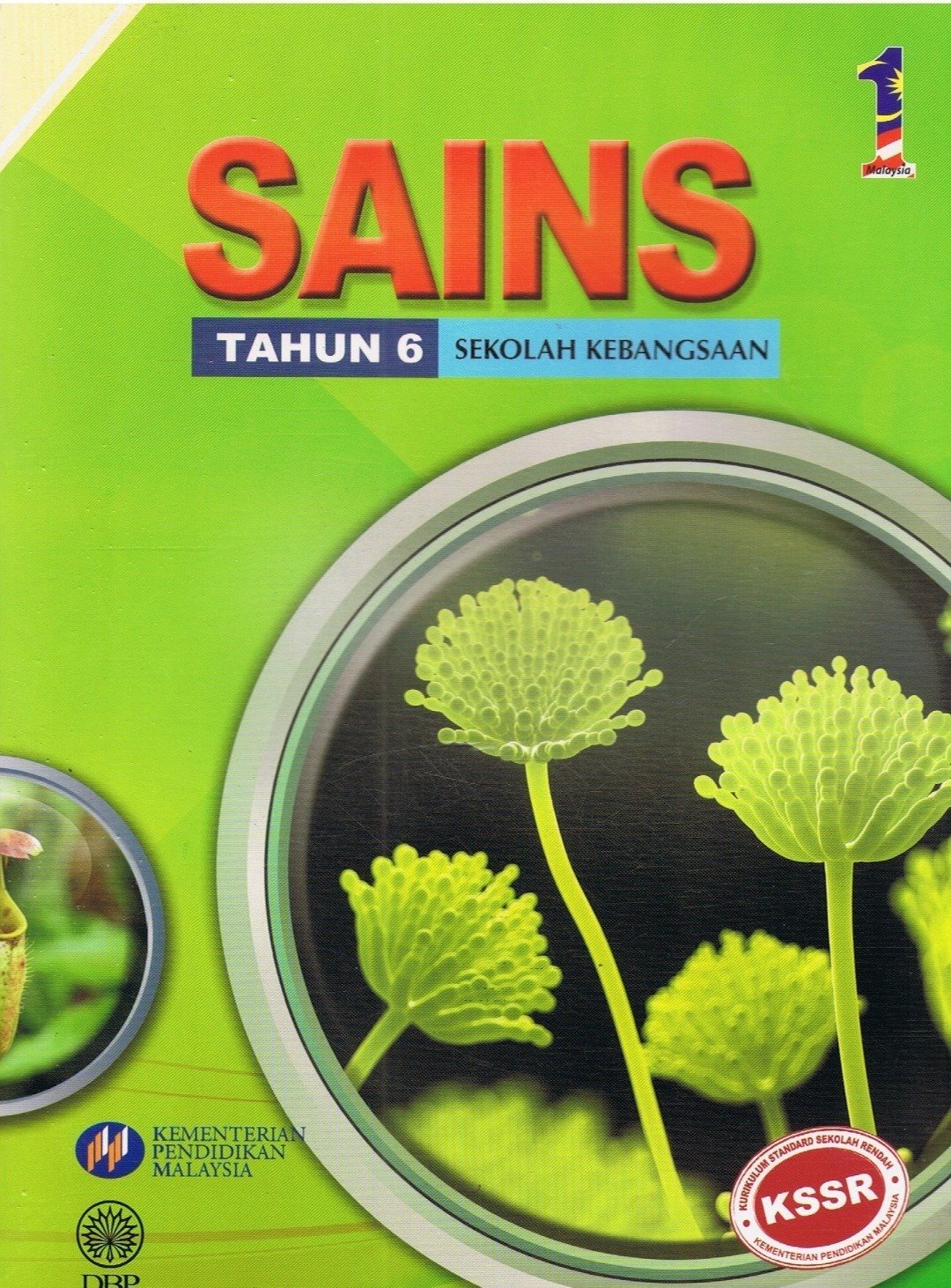 Sains